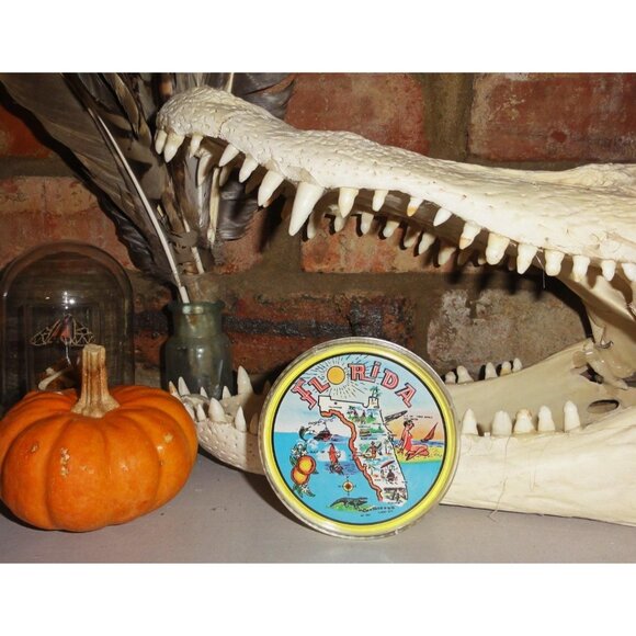 Vintage Florida Round Playing Cards in Celluloid Case souvenir full deck tiki - Picture 7 of 12